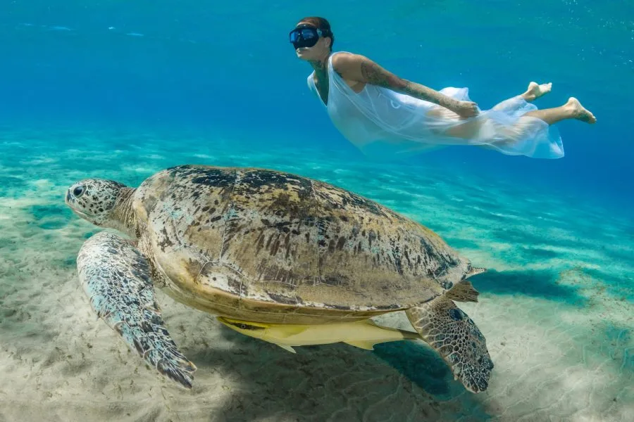 Marsa Mubarak Reef (Snorkeling with turtles and dugongs)