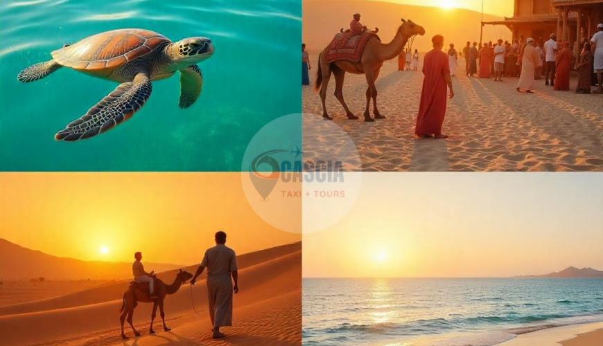 🌅 Sunrise to Sunset: The Perfect One-Day Itinerary in Marsa Alam