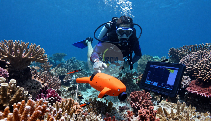 Join citizen science diving in Marsa Alam. Use AI & underwater imaging to map coral reefs. High-tech eco-tours with seamless transfers by Cascia Taxi.